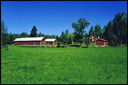 Orrmossen